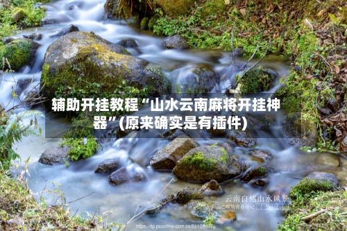 辅助开挂教程“山水云南麻将开挂神器”(原来确实是有插件)-第2张图片