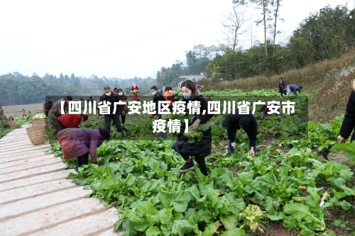 【四川省广安地区疫情,四川省广安市疫情】-第2张图片