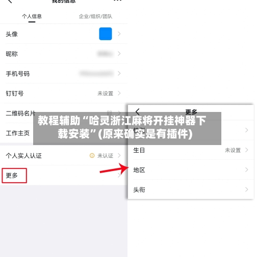 教程辅助“哈灵浙江麻将开挂神器下载安装	”(原来确实是有插件)-第2张图片