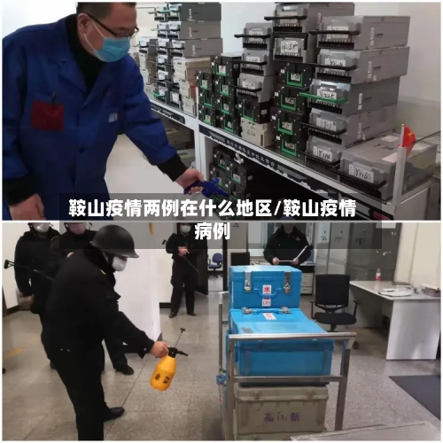 鞍山疫情两例在什么地区/鞍山疫情病例
