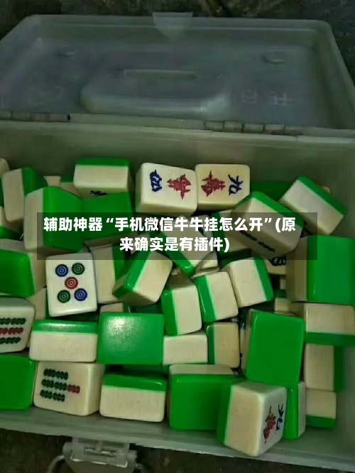 辅助神器“手机微信牛牛挂怎么开”(原来确实是有插件)-第3张图片