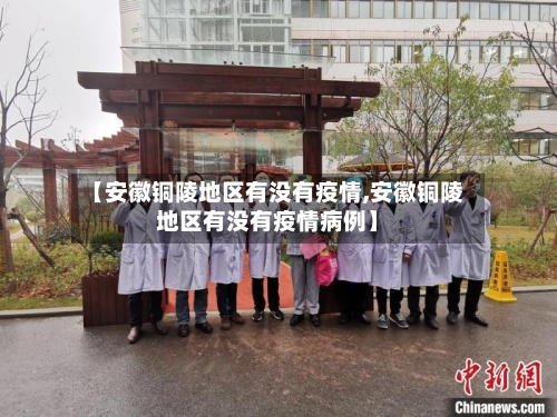 【安徽铜陵地区有没有疫情,安徽铜陵地区有没有疫情病例】-第3张图片