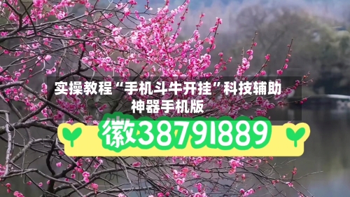实操教程“手机斗牛开挂”科技辅助神器手机版