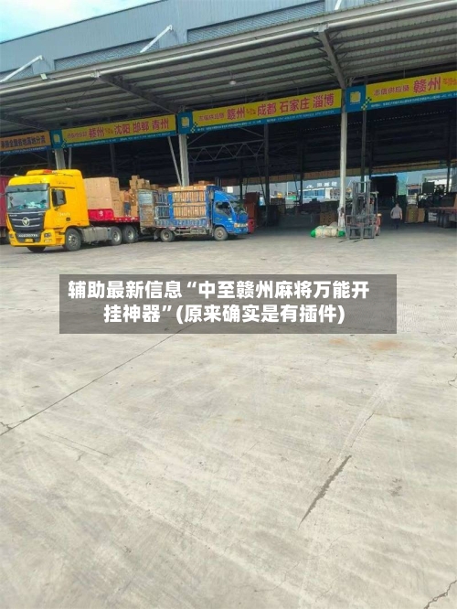 辅助最新信息“中至赣州麻将万能开挂神器”(原来确实是有插件)-第3张图片