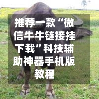 推荐一款“微信牛牛链接挂下载	”科技辅助神器手机版教程-第2张图片