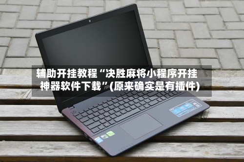 辅助开挂教程“决胜麻将小程序开挂神器软件下载”(原来确实是有插件)-第2张图片