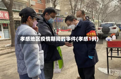 孝感地区疫情期间的事件(孝感1例)-第3张图片