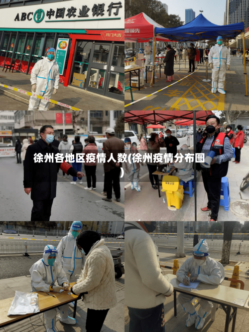 徐州各地区疫情人数(徐州疫情分布图)-第3张图片