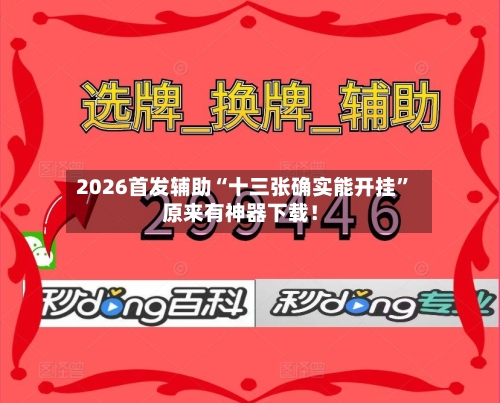 2026首发辅助“十三张确实能开挂”原来有神器下载！-第3张图片