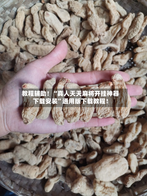 教程辅助！“真人天天麻将开挂神器下载安装	”通用版下载教程！-第2张图片