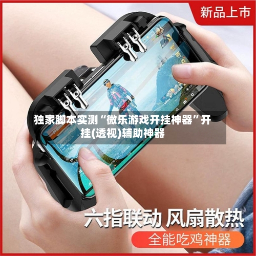 独家脚本实测“微乐游戏开挂神器	”开挂(透视)辅助神器-第2张图片