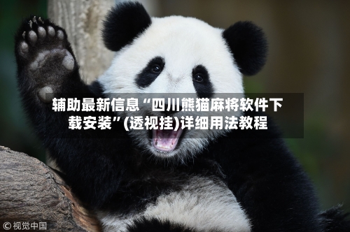 辅助最新信息“四川熊猫麻将软件下载安装”(透视挂)详细用法教程-第2张图片