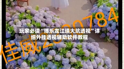 玩家必读“博乐龙江填大坑透视”详细外挂透视辅助软件教程-第3张图片