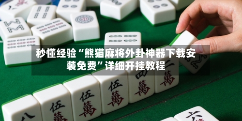 秒懂经验“熊猫麻将外卦神器下载安装免费	”详细开挂教程-第2张图片