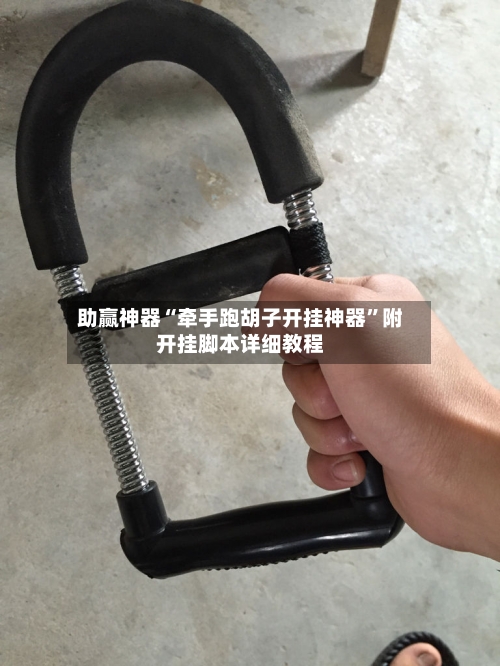 助赢神器“牵手跑胡子开挂神器	”附开挂脚本详细教程-第2张图片