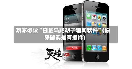 玩家必读“白金岛跑胡子辅助软件”(原来确实是有插件)-第3张图片