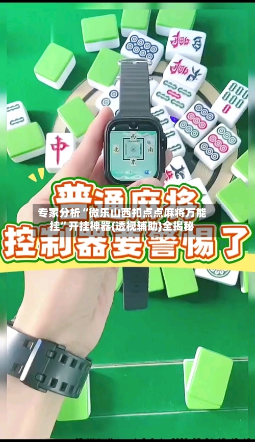 专家分析“微乐山西扣点点麻将万能挂”开挂神器{透视辅助}全揭秘-第2张图片