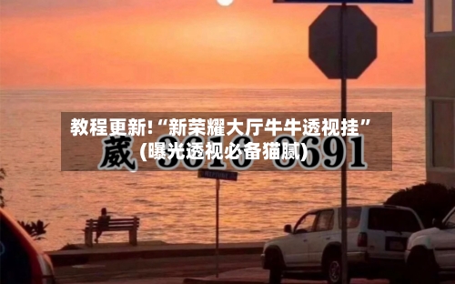 教程更新!“新荣耀大厅牛牛透视挂”(曝光透视必备猫腻)-第2张图片