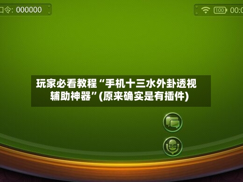 玩家必看教程“手机十三水外卦透视辅助神器	”(原来确实是有插件)-第1张图片