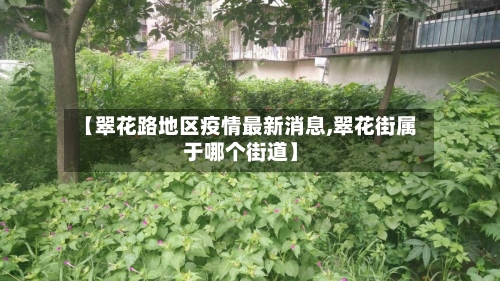 【翠花路地区疫情最新消息,翠花街属于哪个街道】-第2张图片