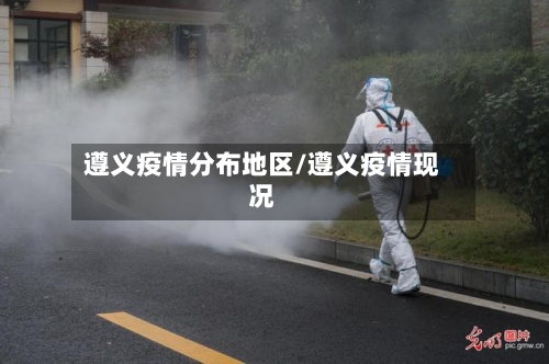 遵义疫情分布地区/遵义疫情现况-第2张图片