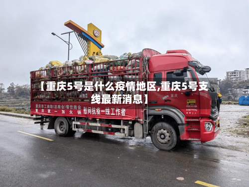 【重庆5号是什么疫情地区,重庆5号支线最新消息】