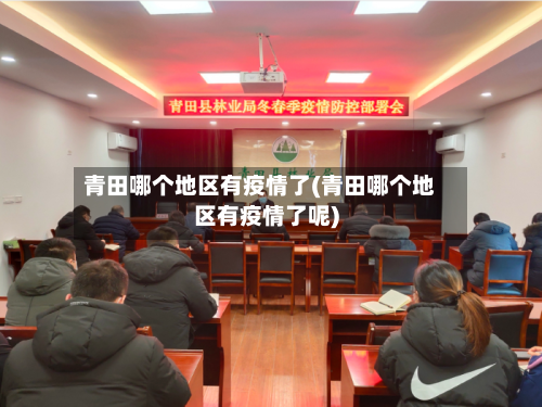 青田哪个地区有疫情了(青田哪个地区有疫情了呢)-第2张图片