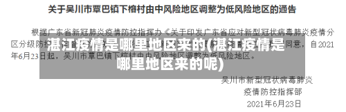 湛江疫情是哪里地区来的(湛江疫情是哪里地区来的呢)-第2张图片