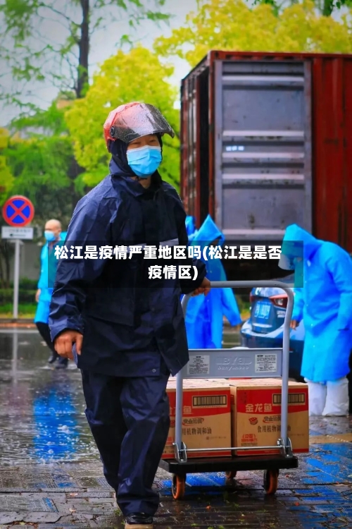 松江是疫情严重地区吗(松江是是否疫情区)-第3张图片