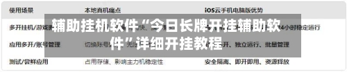 辅助挂机软件“今日长牌开挂辅助软件	”详细开挂教程-第2张图片