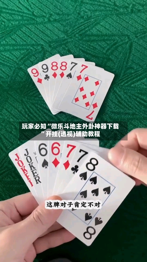 玩家必知“微乐斗地主外卦神器下载	”开挂(透视)辅助教程-第3张图片