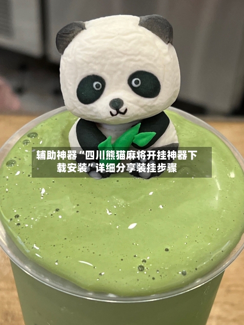 辅助神器“四川熊猫麻将开挂神器下载安装	”详细分享装挂步骤-第2张图片