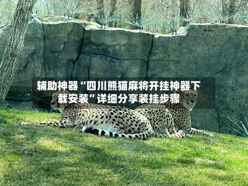 辅助神器“四川熊猫麻将开挂神器下载安装”详细分享装挂步骤