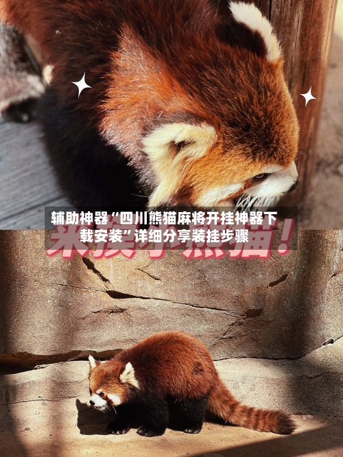 辅助神器“四川熊猫麻将开挂神器下载安装”详细分享装挂步骤-第3张图片