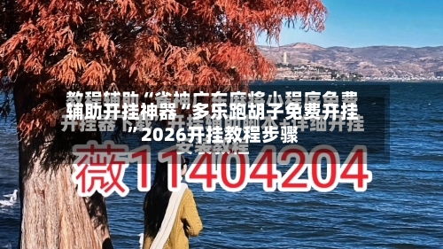 辅助开挂神器“多乐跑胡子免费开挂”2026开挂教程步骤-第3张图片