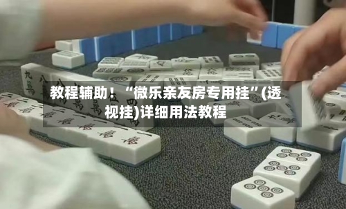 教程辅助！“微乐亲友房专用挂”(透视挂)详细用法教程-第2张图片