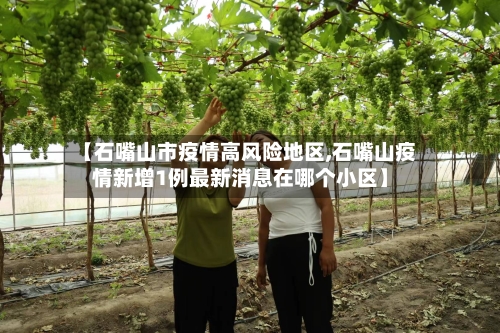 【石嘴山市疫情高风险地区,石嘴山疫情新增1例最新消息在哪个小区】