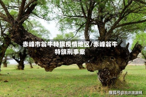 赤峰市翁牛特旗疫情地区/赤峰翁牛特旗刑事案-第2张图片