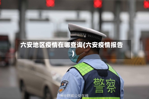 六安地区疫情在哪查询(六安疫情报告)-第2张图片