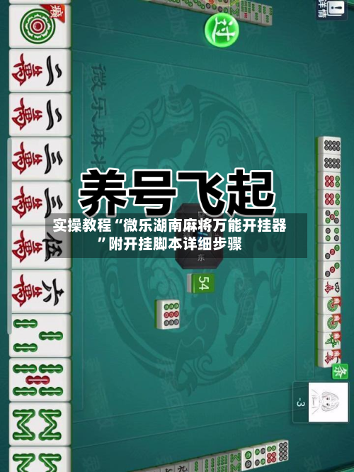 实操教程“微乐湖南麻将万能开挂器”附开挂脚本详细步骤-第2张图片