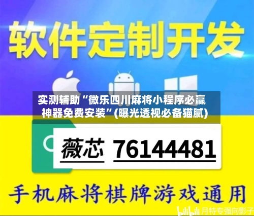 实测辅助“微乐四川麻将小程序必赢神器免费安装	”(曝光透视必备猫腻)-第2张图片