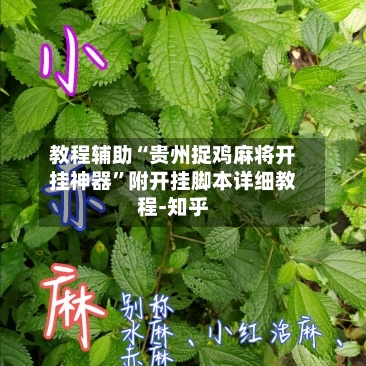 教程辅助“贵州捉鸡麻将开挂神器	”附开挂脚本详细教程-知乎-第2张图片