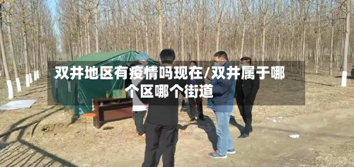 双井地区有疫情吗现在/双井属于哪个区哪个街道-第2张图片