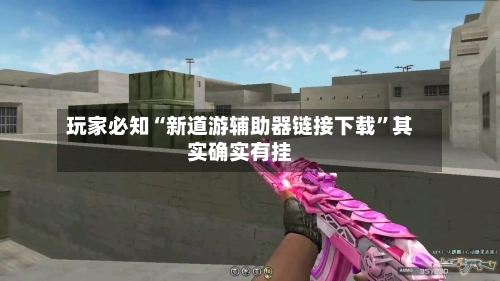 玩家必知“新道游辅助器链接下载”其实确实有挂-第3张图片
