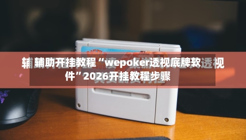 辅助开挂教程“wepoker透视底牌软件”2026开挂教程步骤-第3张图片