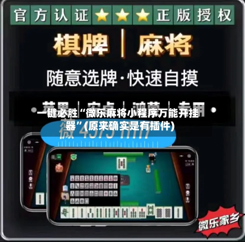 一键必胜“微乐麻将小程序万能开挂器”(原来确实是有插件)-第3张图片