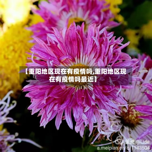 【重阳地区现在有疫情吗,重阳地区现在有疫情吗最近】