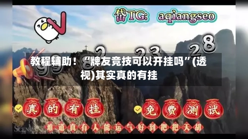 教程辅助！“牌友竞技可以开挂吗”(透视)其实真的有挂-第3张图片