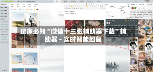 玩家必知“微信十三张辅助器下载”辅助器 - 实时智能回复
