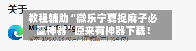 教程辅助“微乐宁夏捉麻子必赢神器”原来有神器下载！